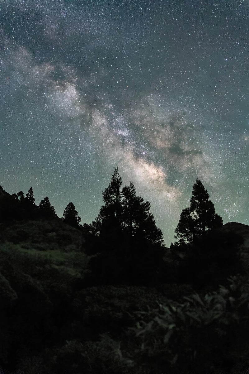 Starry Night Sky in a Forest Clearing